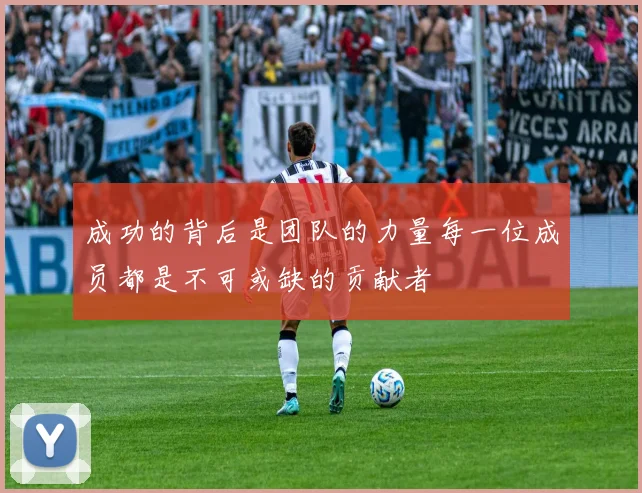 成功的背后是团队的力量每一位成员都是不可或缺的贡献者