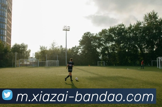 半岛体育平台生态图